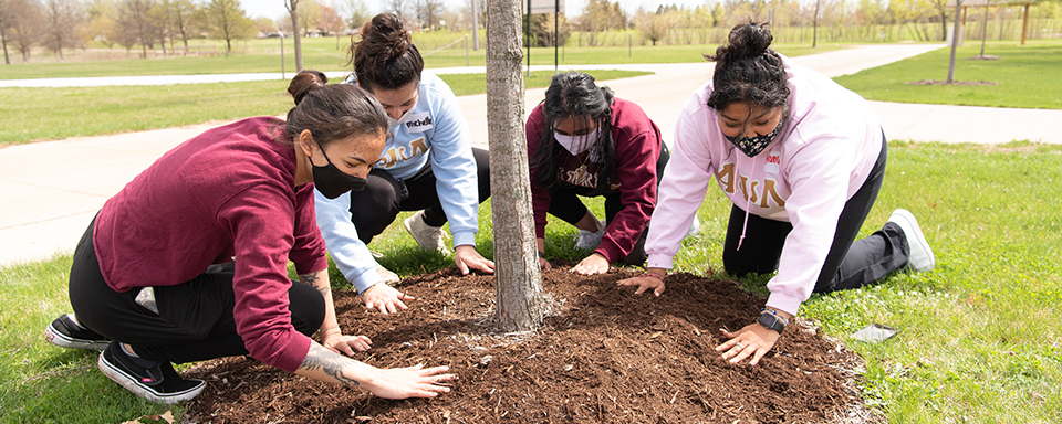 Students participating in community service