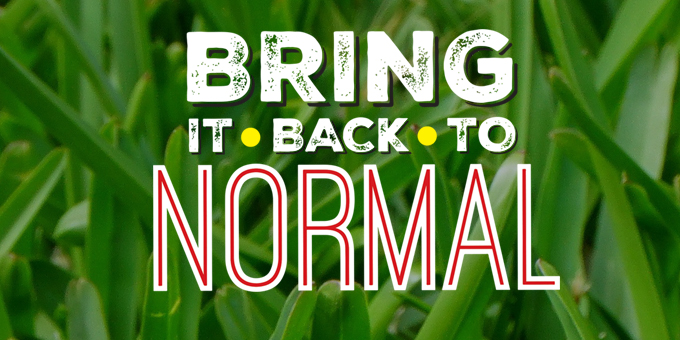 bring it back to normal logo